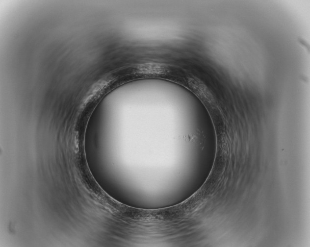 X0000095900731200801251224