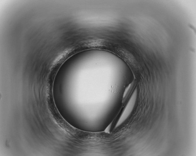 X0000095900732200801251224