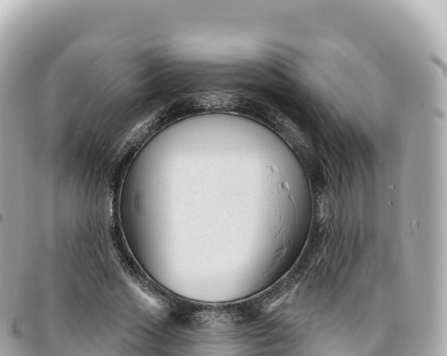 X0000095900733200801251224