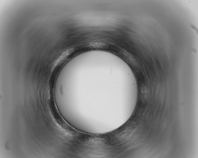 X0000095900734200801251224