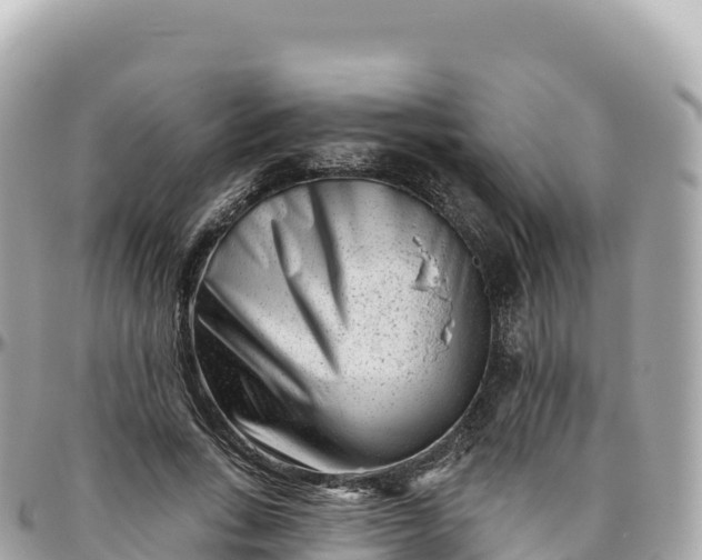 X0000095900735200801251224