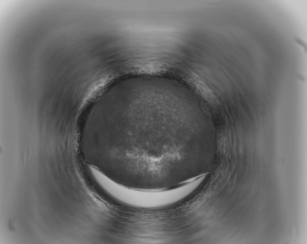 X0000095900736200801251224