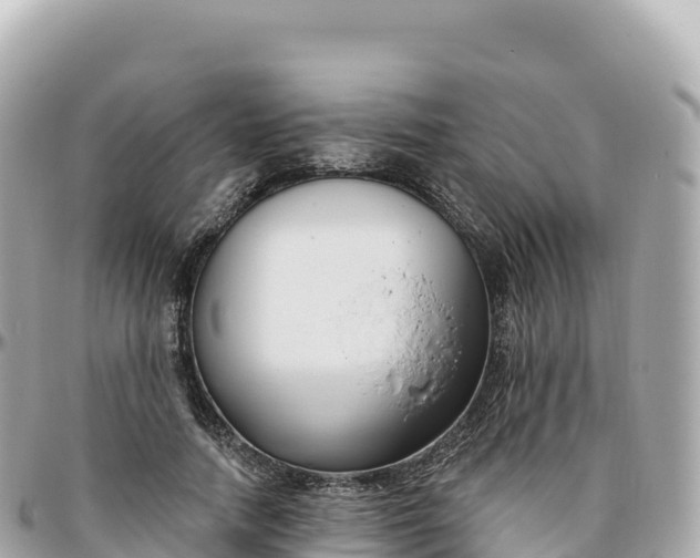 X0000095900738200801251224