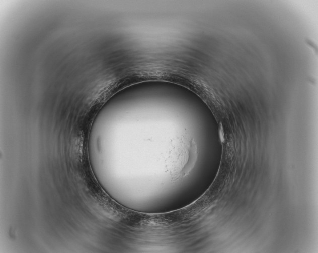 X0000095900739200801251224