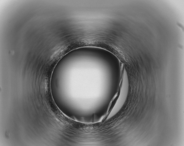 X0000095900740200801251224