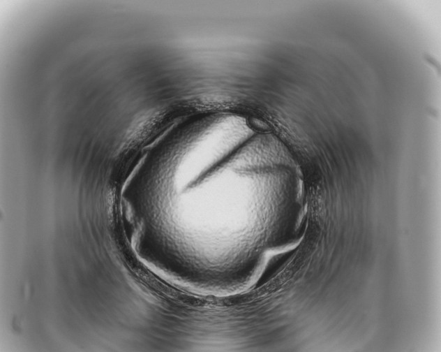 X0000095900742200801251224