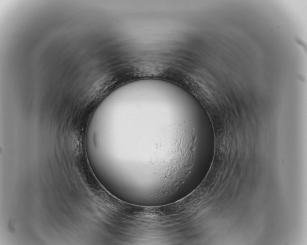 X0000095900743200801251224