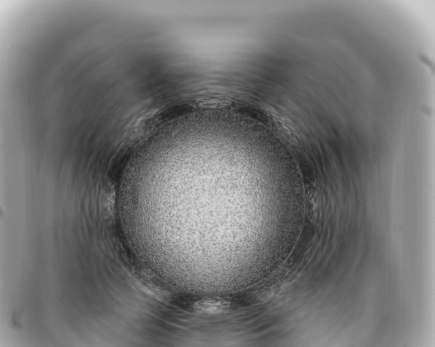 X0000095900745200801251224