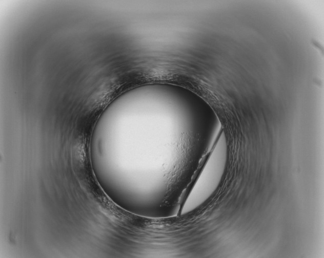 X0000095900746200801251224