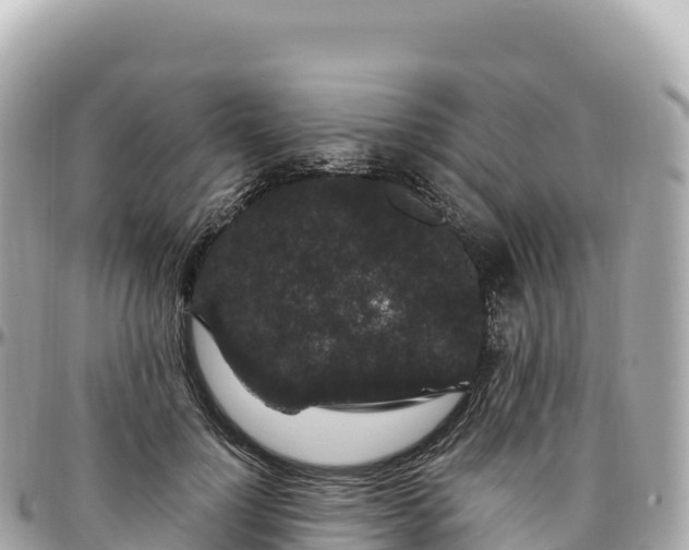 X0000095900748200801251224