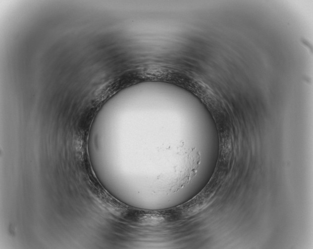 X0000095900749200801251224