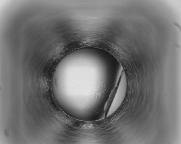 X0000095900751200801251224