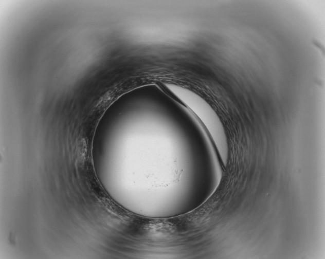 X0000095900752200801251224