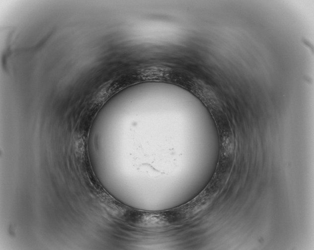 X0000095900753200801251224