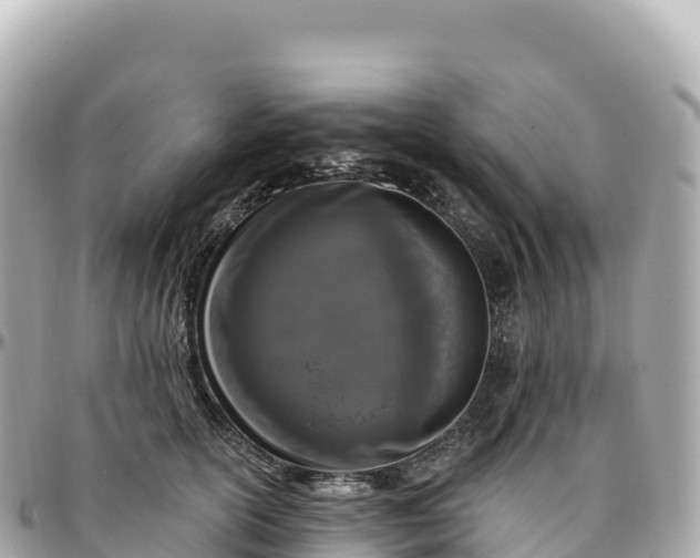 X0000095900754200801251224