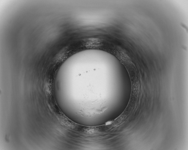 X0000095900755200801251224