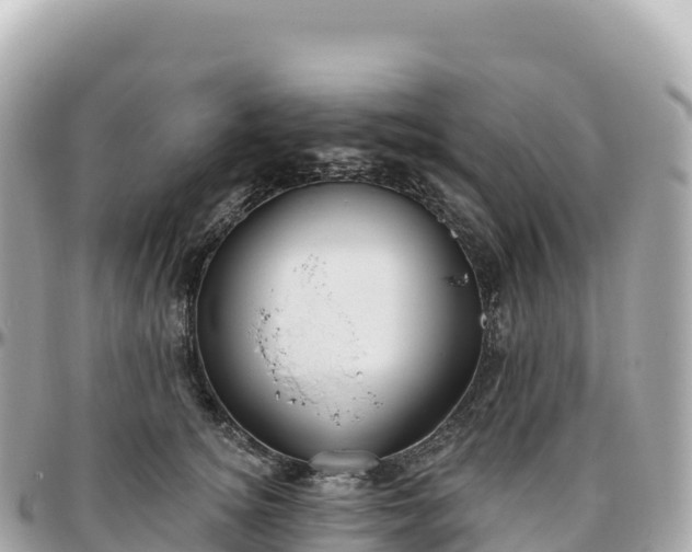 X0000095900756200801251224