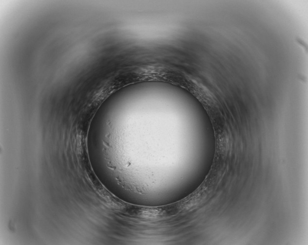 X0000095900757200801251224