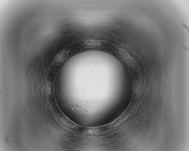 X0000095900758200801251224