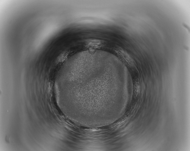 X0000095900759200801251224