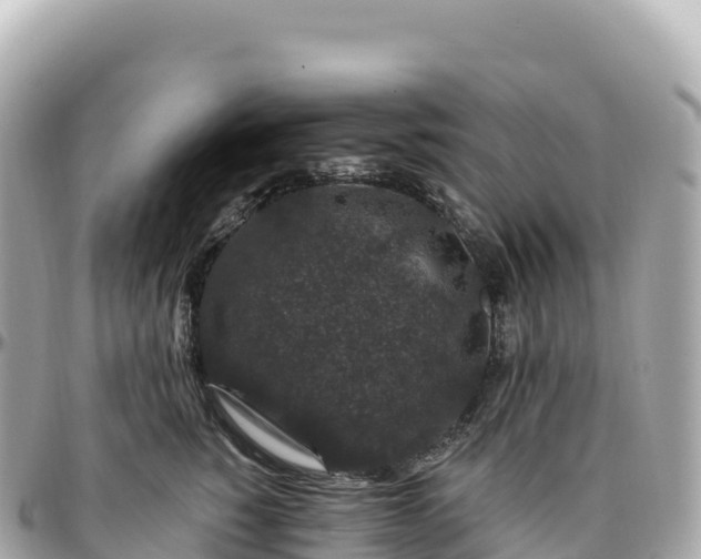 X0000095900760200801251224