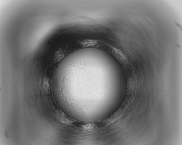 X0000095900761200801251224