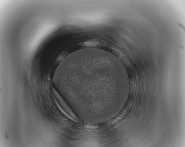 X0000095900762200801251224