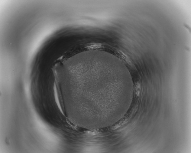 X0000095900763200801251224