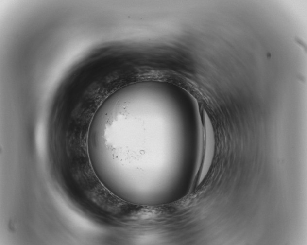 X0000095900764200801251224