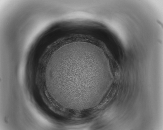 X0000095900765200801251224