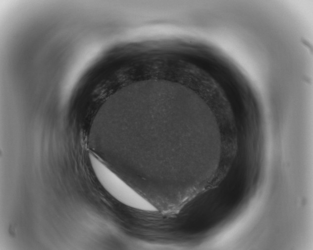 X0000095900766200801251224