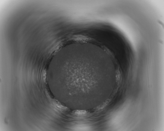 X0000095900767200801251224