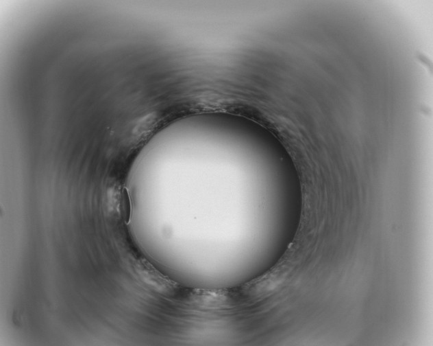 X0000095900768200801251224