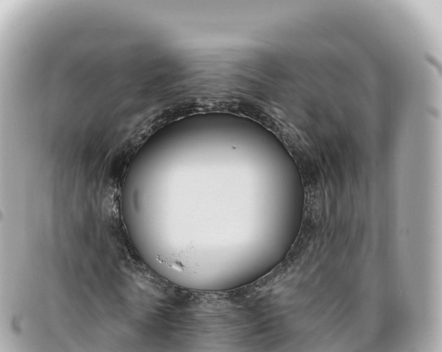 X0000095900770200801251223