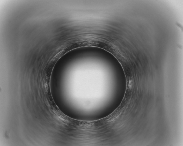 X0000095900771200801251223