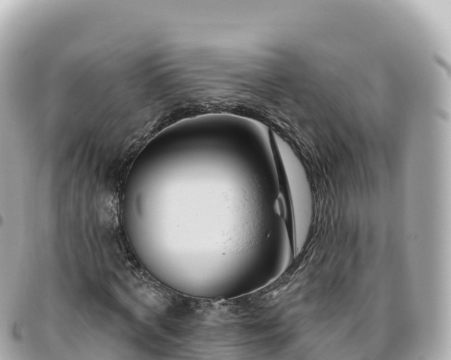 X0000095900772200801251223