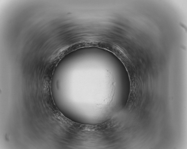 X0000095900773200801251223