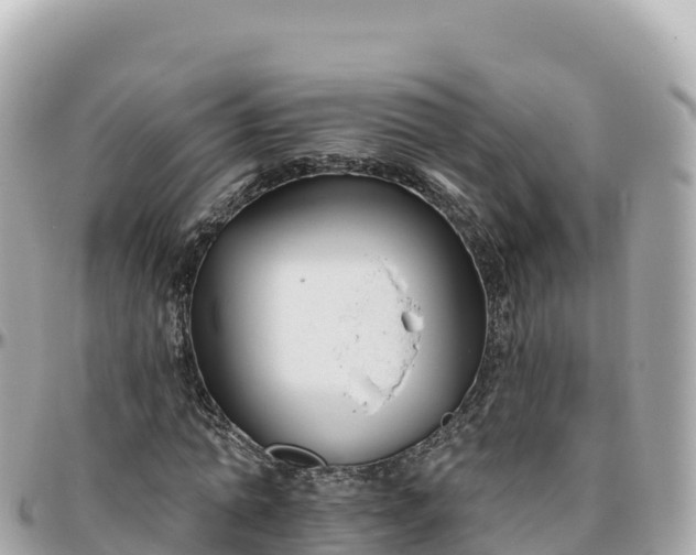 X0000095900774200801251223