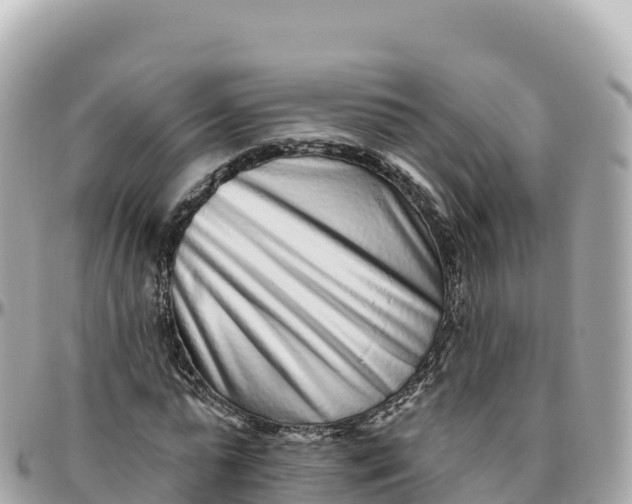 X0000095900775200801251223