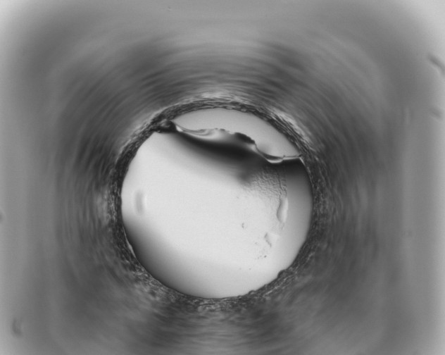 X0000095900776200801251223