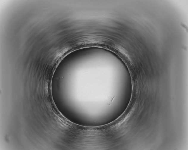 X0000095900777200801251223