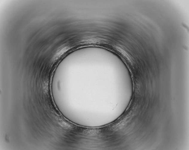 X0000095900778200801251223