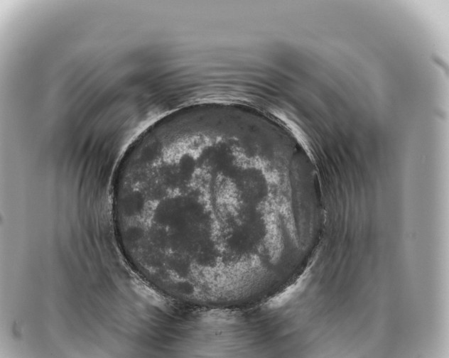 X0000095900779200801251223