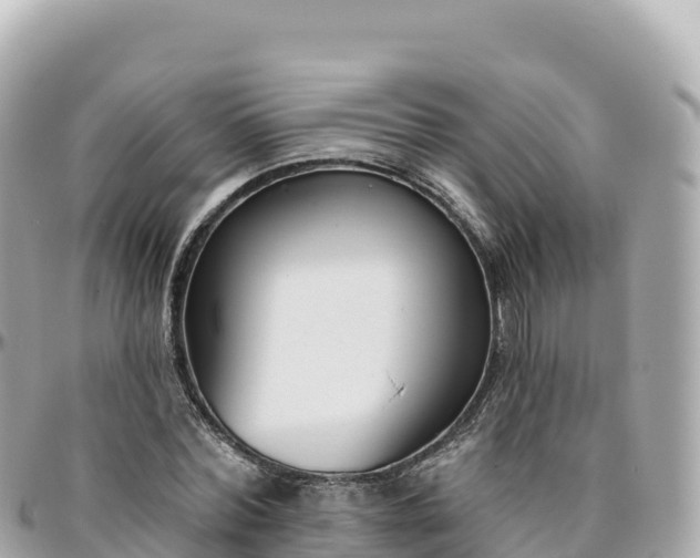 X0000095900780200801251223