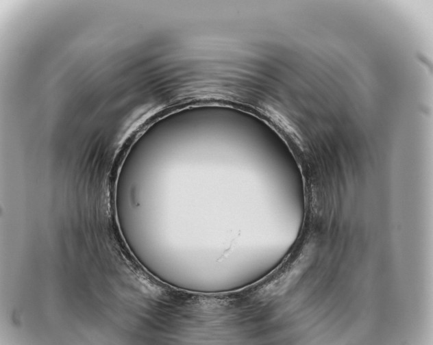 X0000095900782200801251223