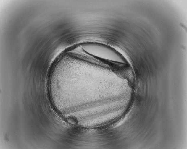 X0000095900783200801251223