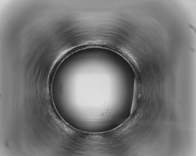 X0000095900784200801251223