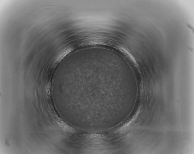 X0000095900785200801251223