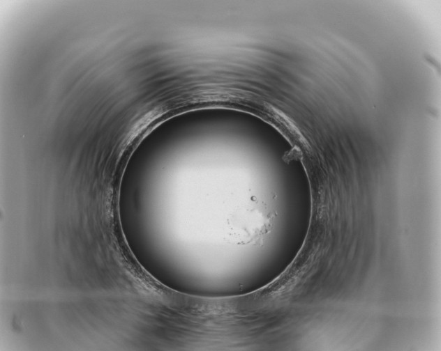 X0000095900786200801251223