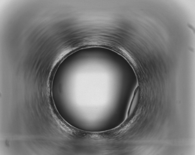 X0000095900787200801251223